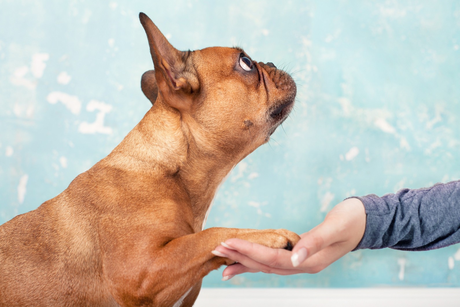 Behavior Management